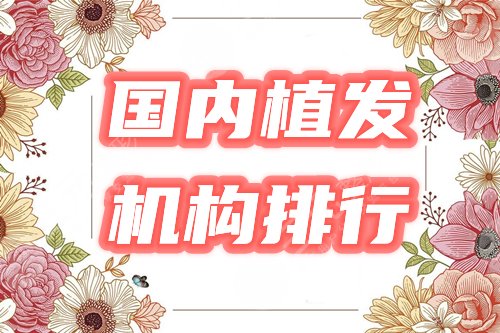 国内知名植发机构排行