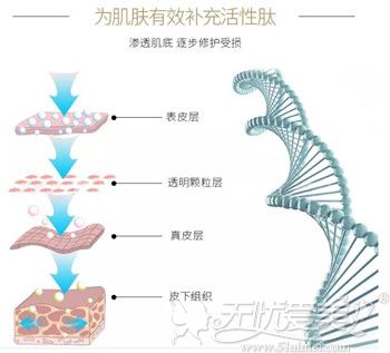 红毯明星不老秘籍 元芳你怎么看