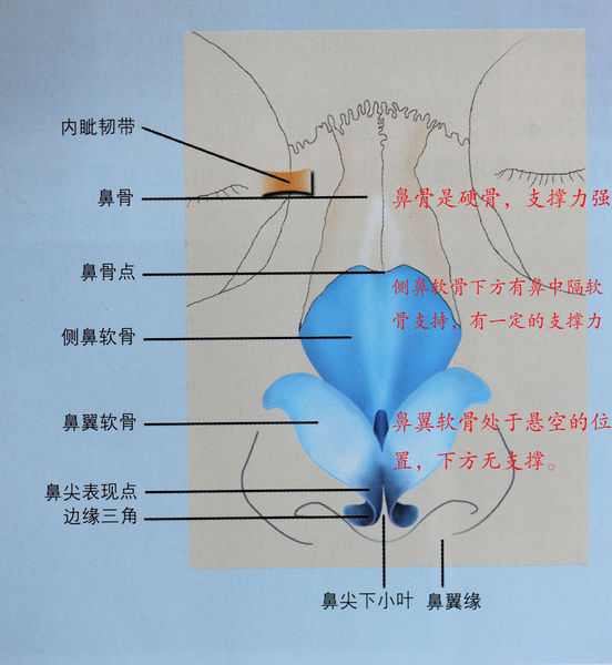 隆鼻后不能揉来揉去？