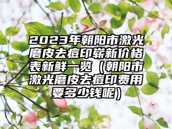 2023年朝阳市激光磨皮去痘印崭新价格表新鲜一览（朝阳市激光磨皮去痘印费用要多少钱呢）