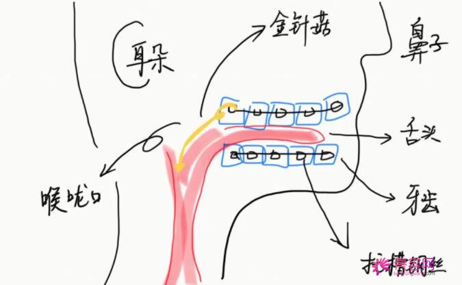 长沙市第四医院口腔科怎么样？2021版价格表|整形专家信息|正畸案例