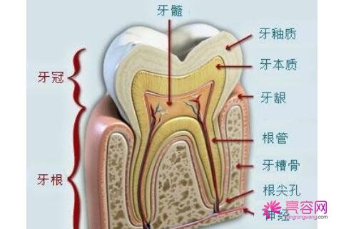 一个牙医的良心忠告分享？我们应该怎么样保护自己的牙齿呢？