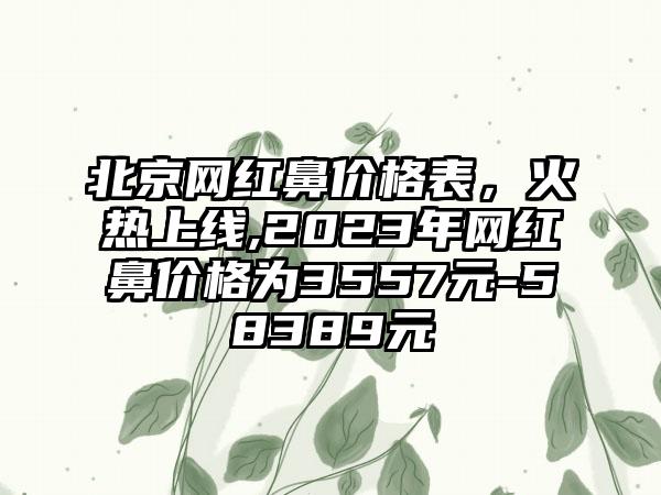 北京网红鼻价格表，火热上线,2023年网红鼻价格为3557元-58389元