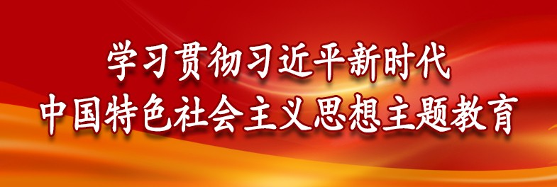 学习贯彻习近平新时代中国特色社会主义思想主题教育