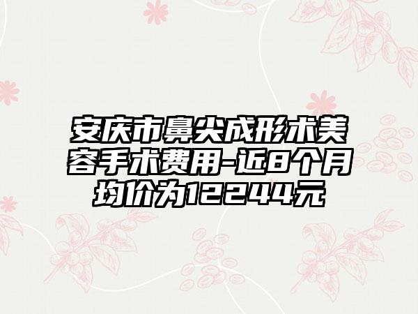 安庆市鼻尖成形术美容手术费用-近8个月均价为12244元