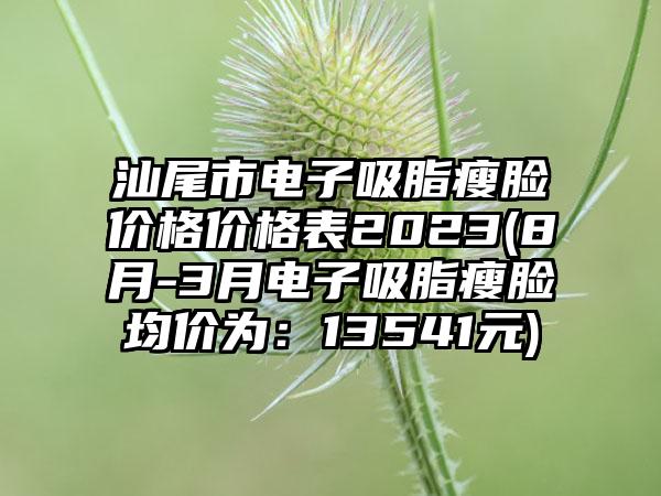 汕尾市电子吸脂瘦脸价格价格表2023(8月-3月电子吸脂瘦脸均价为：13541元)