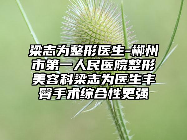 梁志为整形医生-郴州市第一人民医院整形美容科梁志为医生丰臀手术综合性更强