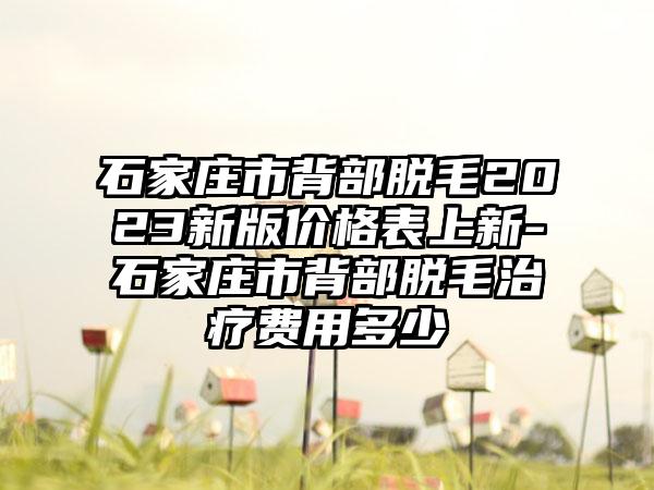 石家庄市背部脱毛2023新版价格表上新-石家庄市背部脱毛治疗费用多少